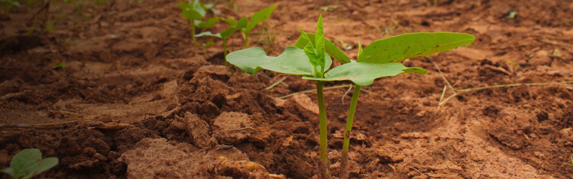 Slide Home page Slide Home page